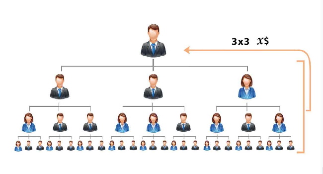 diagram of a forced matrix plan