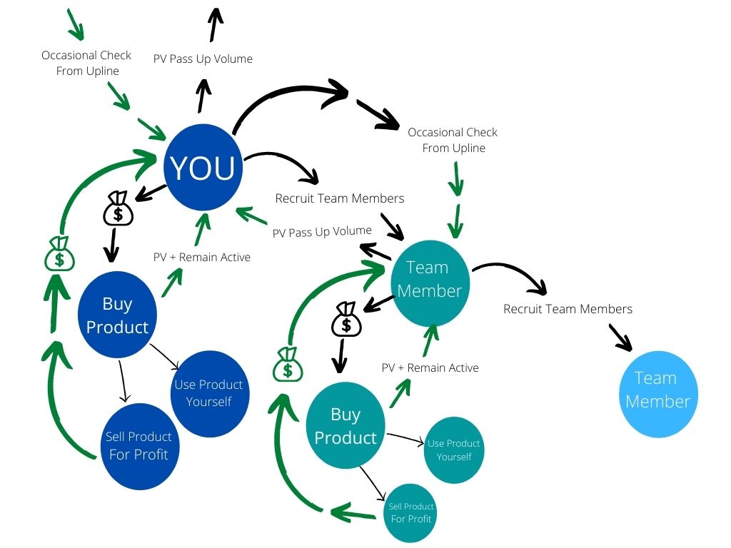 amway compensation plan shown in micro detail