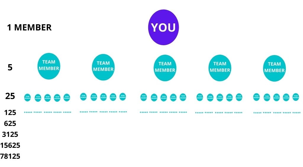 amway pay plan illustrate on a more macro level