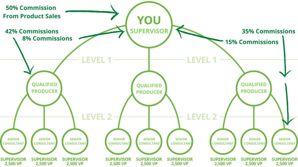 chart of herbalife pay plan