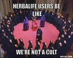 making fun of herbalife fanatics