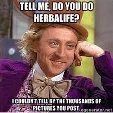 willy wonka making fun of online herbalife builders