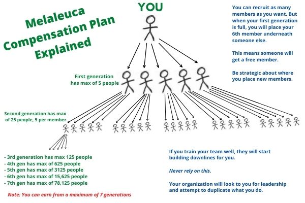 diagram of melaleuca compensation plan