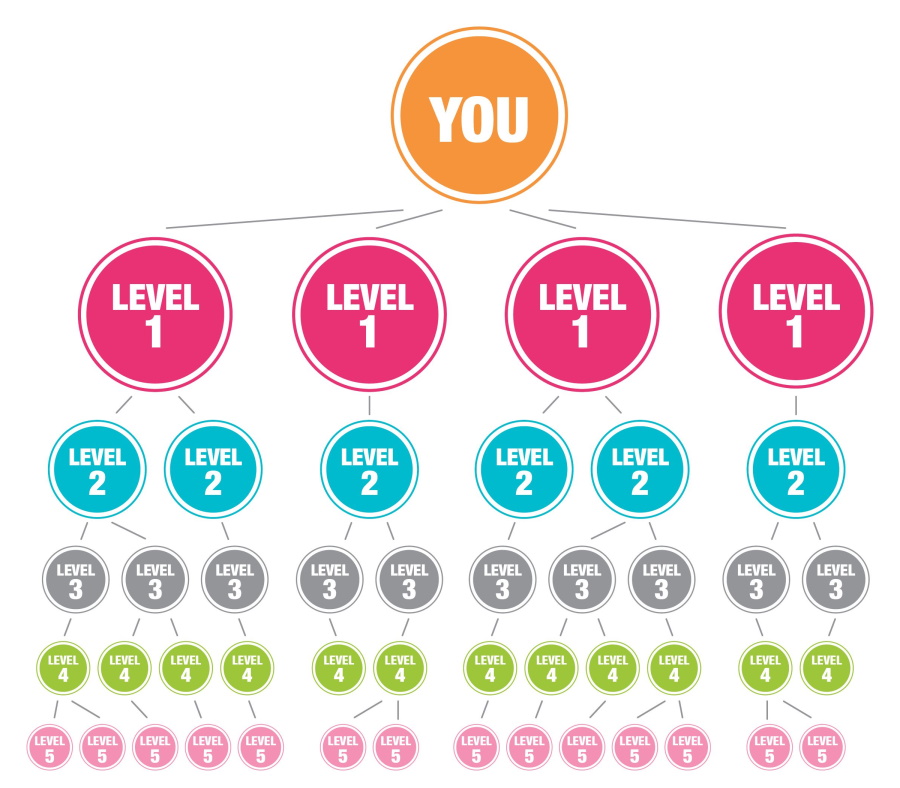 diagram of young living compensation plan