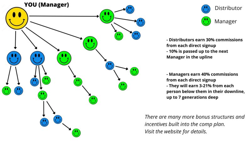 pm international compensation plan diagram