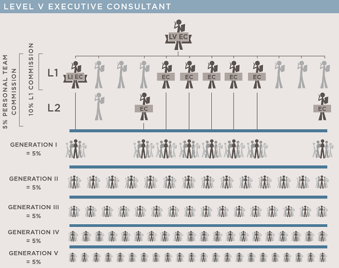 chart of rodan and fields compensation plan