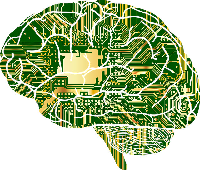 picture of circuit board in human brain