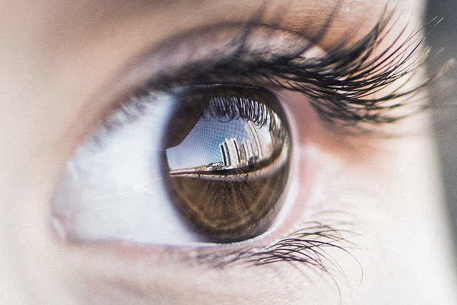 reflection of skyline in human eye